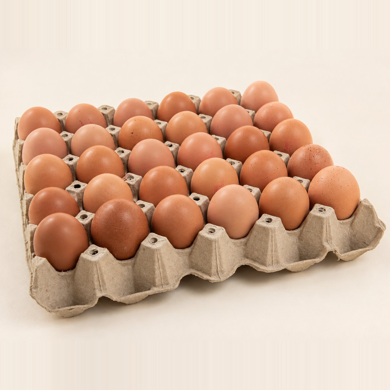 Tray containing 30 brown shell eggs
